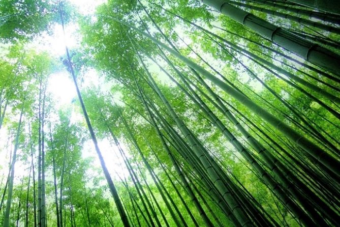 Kamakura Bamboo Forest and Great Buddha Private Tour - Komachi Street for a short food break