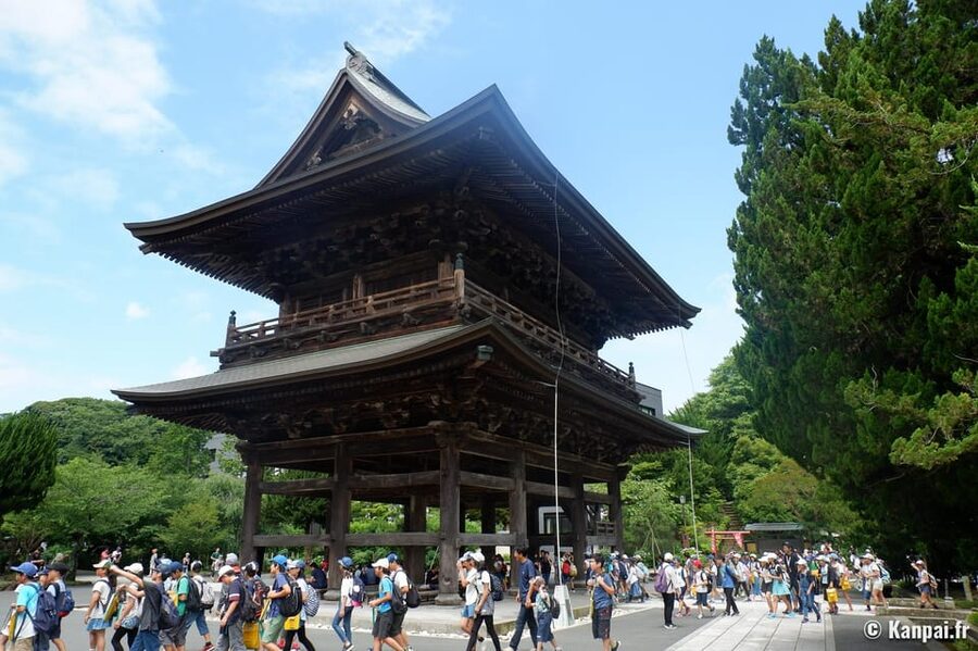 Kamakura Half Day Tour with a Local Expert Guide - Tsurugaoka Hachimangu, Kamakura’s grand central shrine