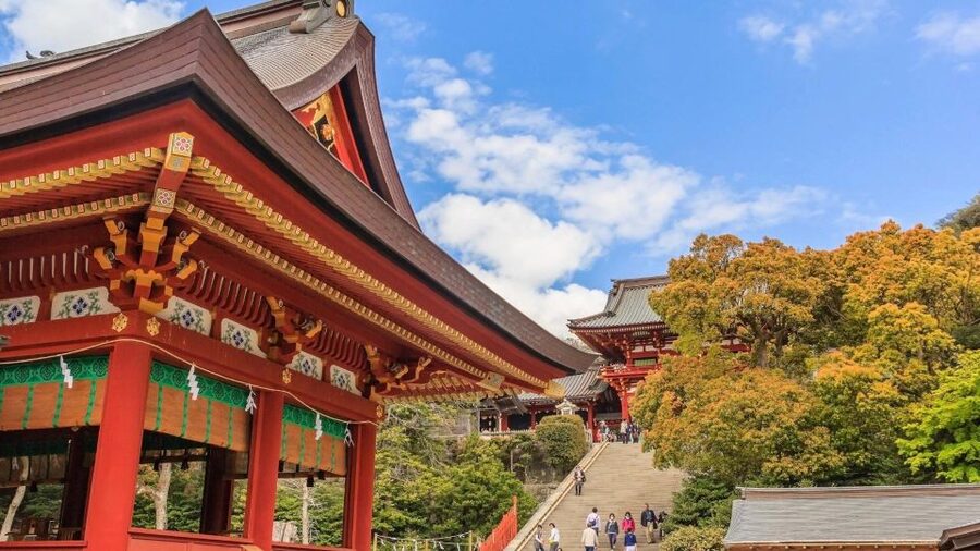 Kamakura Half Day Tour with a Local Expert Guide - Zen temples and gardens beyond the main route