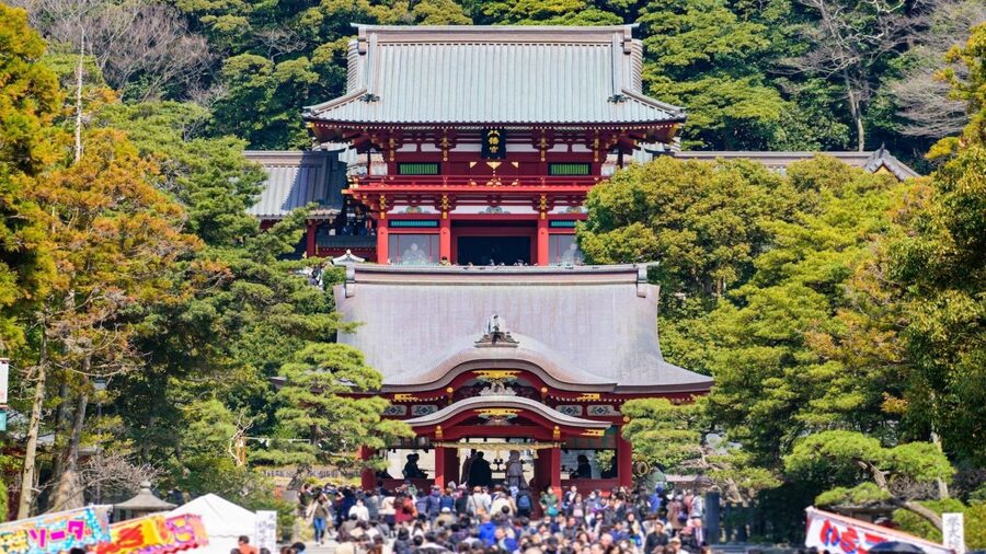 Kamakura Half Day Tour with a Local Expert Guide - The Great Buddha and scenic walking time