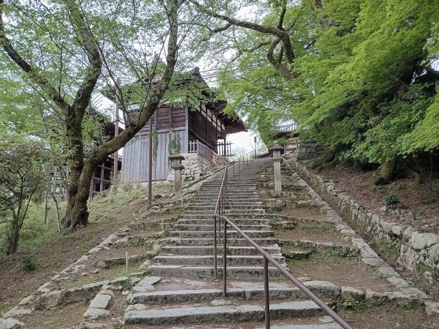 Kamakura Half Day Tour with a Local Expert Guide - Is $87 a fair price?