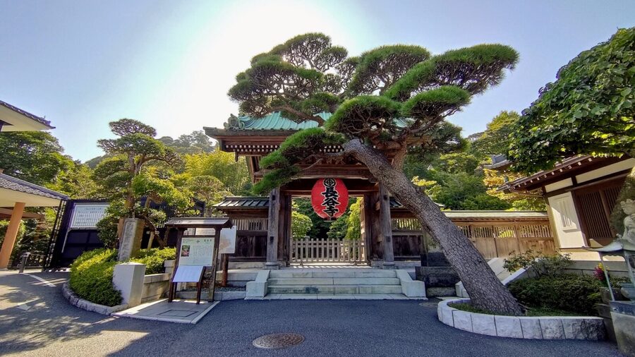 Kamakura Half Day Tour with a Local Expert Guide - Four hours requires a clear plan