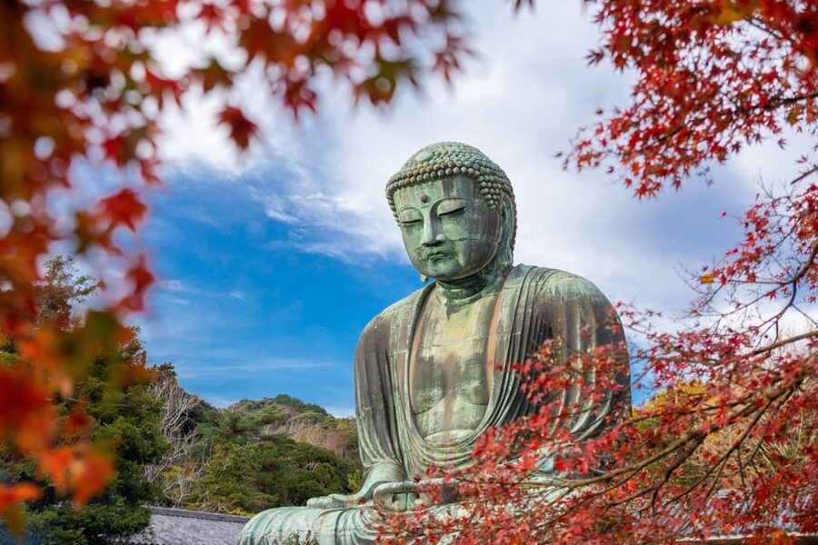 Kamakura Half Day Tour with a Local Expert Guide - Starting in Tokyo or Kamakura