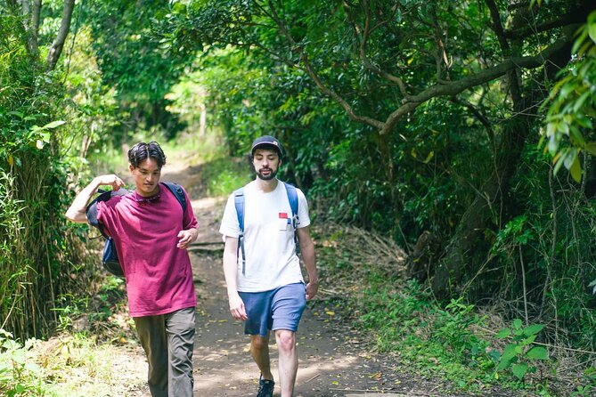 Kamakura Historical Walking Tour with the Great Buddha - The wooded trail and the physical side of the tour