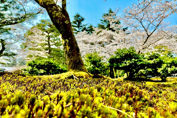 Kanazawa Full Day Private Tour to Top Highlights with Local Guide - Nagamachi and the Nomura family home