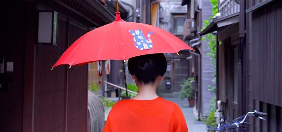 Kanazawa: Half-Day Private Guided Tour - Walking through the samurai district