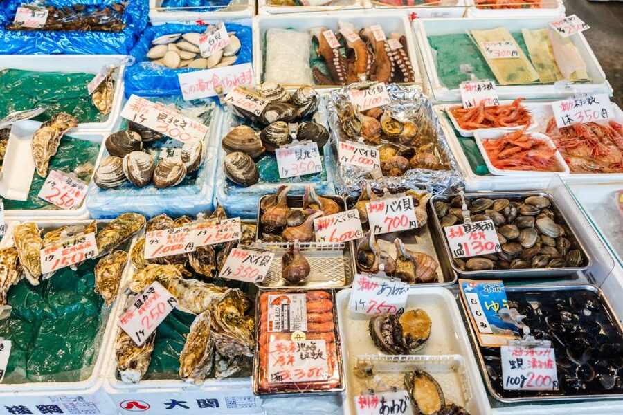 Kanazawa: Private Food Tasting Walking Tour - Oyama Shrine and the Nishi Chaya streets