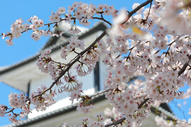 Kanazawa private half day/Photoshoot by professional photographer - What the private vehicle adds
