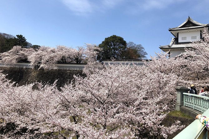 Kanazawa Private Tour: Highlights of an Old Samurai Town - Nomura Family Samurai House and domestic life