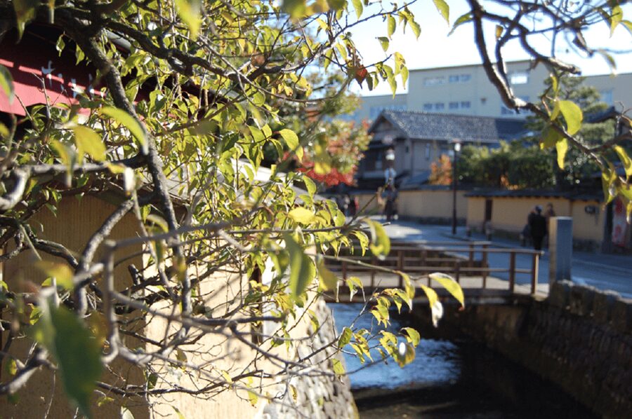 Kanazawa: Samurai Residence Remains Nomura Family admission - Samurai artifacts and household objects