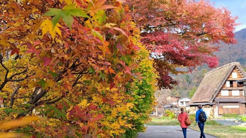 Kanazawa/Takayama: Shirakawago & Takayama Private Day Tour - Shirakawago and the Ogi-machi viewpoint