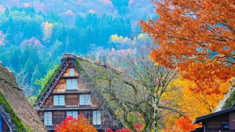 Kanazawa/Takayama: Shirakawago & Takayama Private Day Tour - Takayama Jinya and the old town