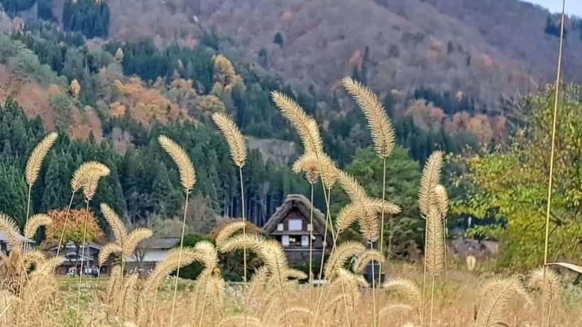 Kanazawa/Takayama: Shirakawago & Takayama Private Day Tour - Hida no Sato, old houses beside the water
