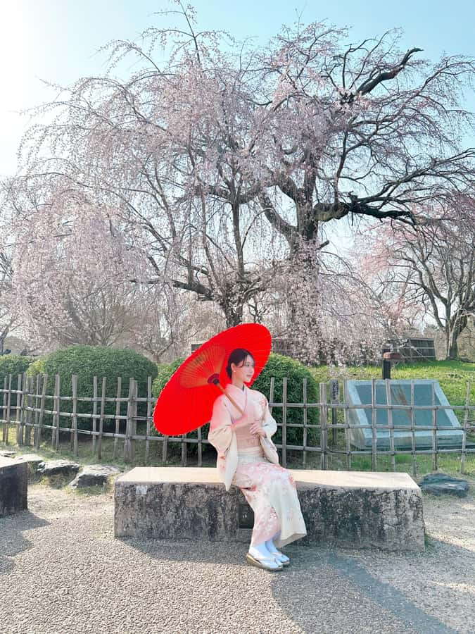 Kanazawa:Traditional Experience -kimono rent at wargo - Walking Toward Kenrokuen Garden