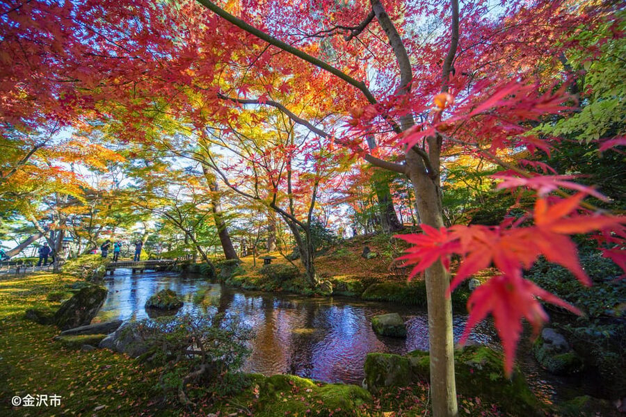 Kanazawa: World Heritage Shirakawa-go & Two Local Experience - Gold leaf in Higashi Chaya District