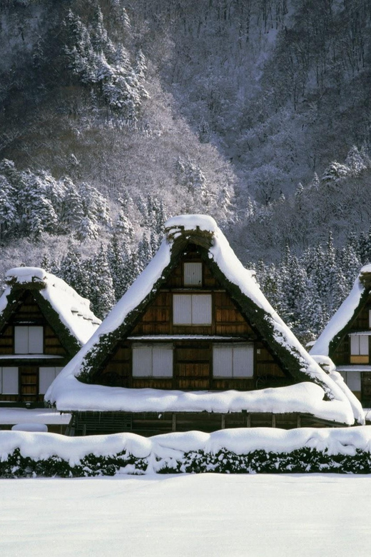 Kanazawa: World Heritage Shirakawa-go & Two Local Experience - Walking through Higashi Chaya District
