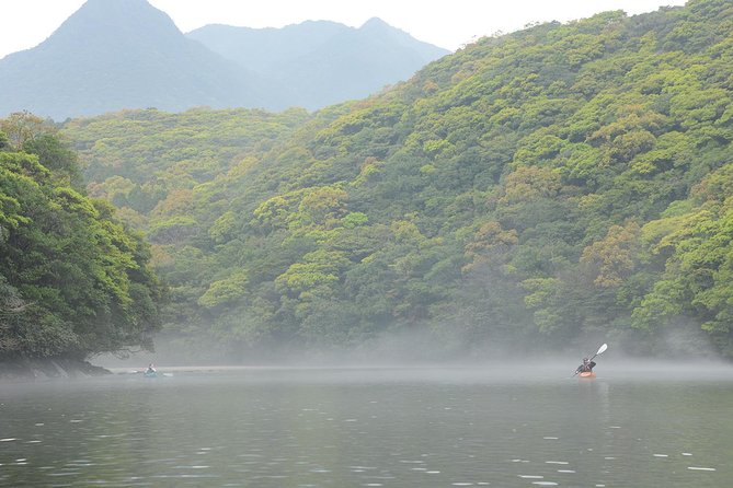Kayaking in Anbo River - Paddling into Anbo’s green river valley