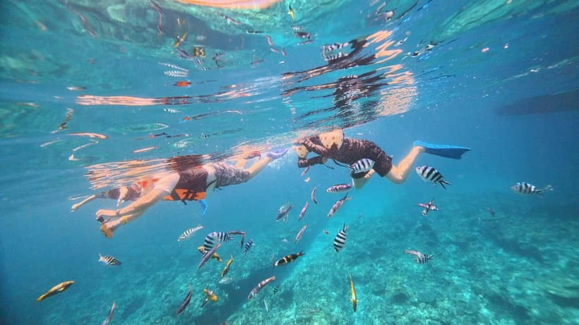 Kerama Half-Day Snorkeling Tour - Who will enjoy this tour most