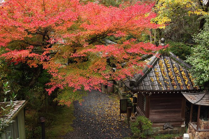 Kimono and Tea Ceremony in Miyajima - Choosing a kimono from more than 100 options