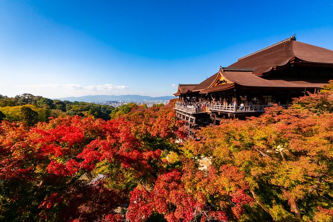 Kiyomizu Temple and Backstreets of Gion, Half Day Group Tour - Why this Kyoto walk works so well