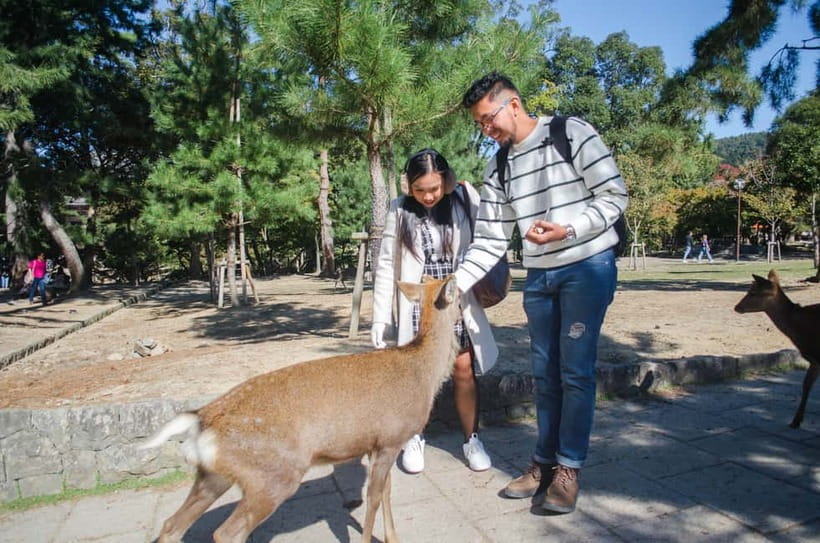 Kobe: Private Walking Shore Excursion- Kyoto/Osaka/Nara/Kobe - A private day that begins with your priorities