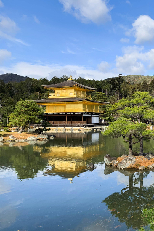 Kobe: Private Walking Shore Excursion- Kyoto/Osaka/Nara/Kobe - The guide experience and communication
