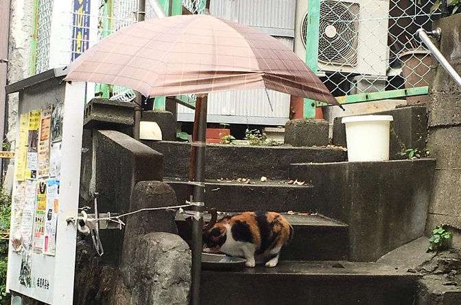 KOBE, SHIOYA, a quaint fishing town walking tour - Food, coffee, and conversation