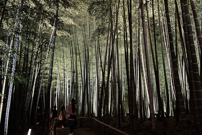 Kyoto 1 Day Golden Route Bus Tour - Arashiyama and Tenryu-ji’s bamboo setting