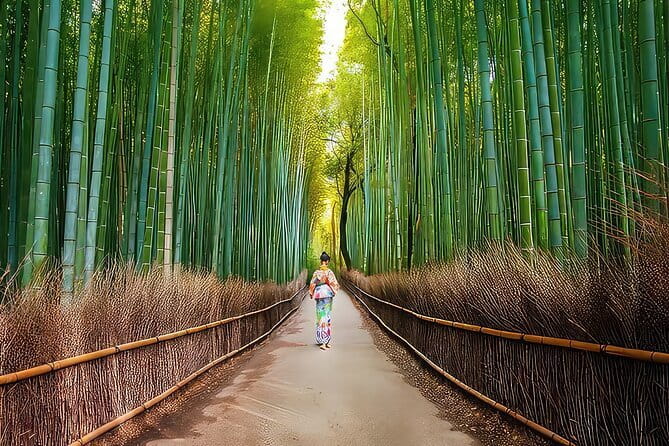 Kyoto 1 Day Suntory Yamazaki Distillery Tour and Asahi Art Museum - Tasting, shopping, and the included gift
