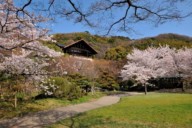 Kyoto 1 Day Suntory Yamazaki Distillery Tour and Asahi Art Museum - Transport, walking, and group size