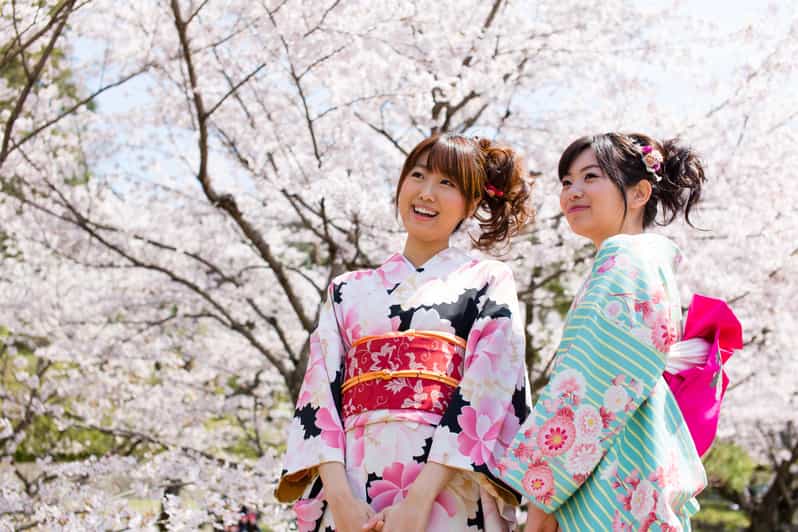 Kyoto: 1 Day:Traditional Japanese Kimono Rental Experience - Choosing a Kimono at MomoKa