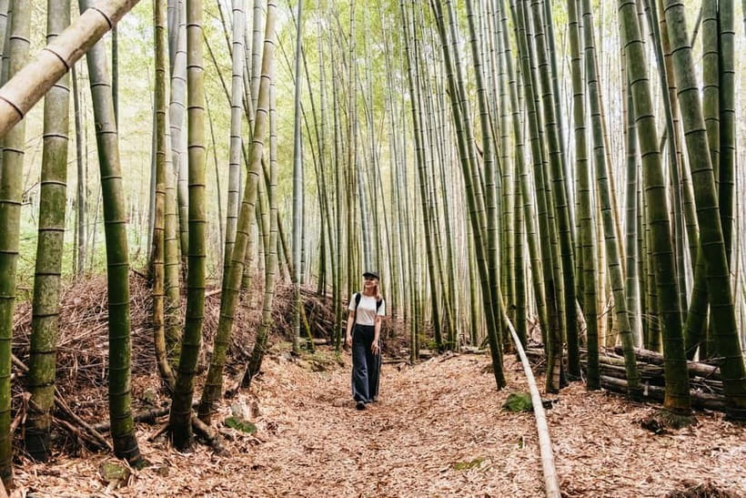 Kyoto: 3-Hour Fushimi Inari Shrine Hidden Hiking Tour - Key points to know before booking