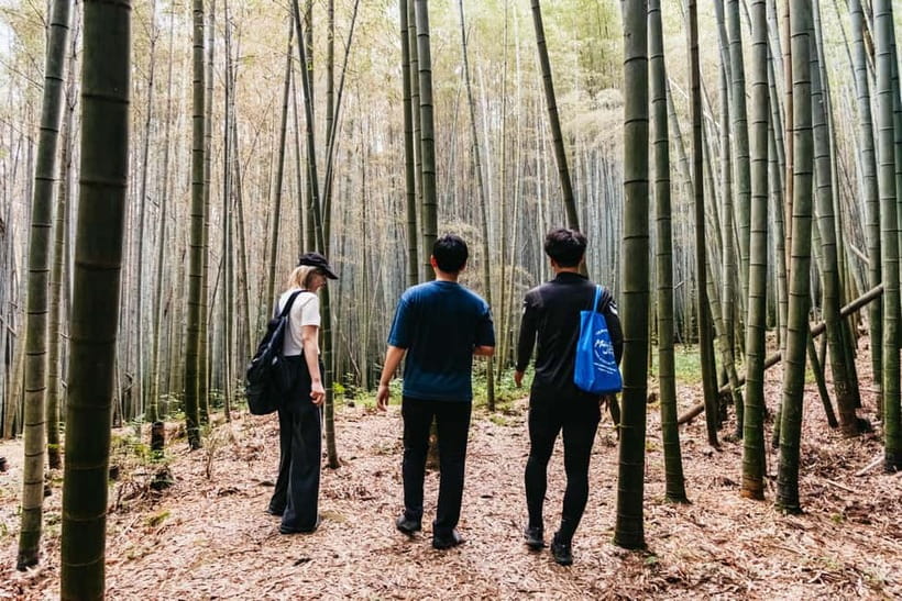 Kyoto: 3-Hour Fushimi Inari Shrine Hidden Hiking Tour - Who should book this hike?