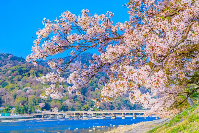 Kyoto 6hr Instagram Highlights Private Tour with Licensed Guide - Byodoin Temple and the extra journey to Uji