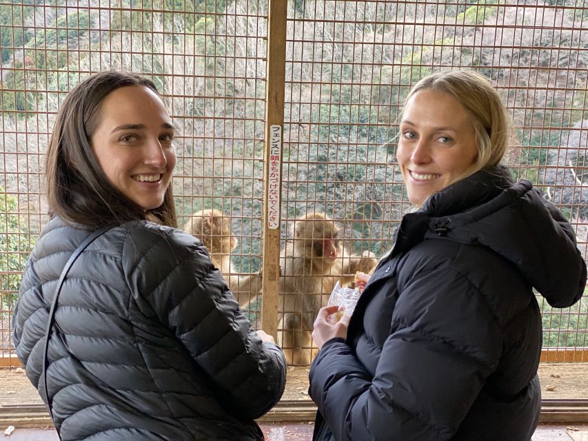 Kyoto: Afternoon Bamboo Forest and Monkey Park Bike Tour - Is the $106 price fair?