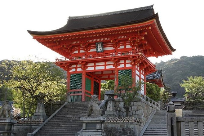 Kyoto Afternoon Tour from Kyoto or Osaka - Who should book this afternoon tour?