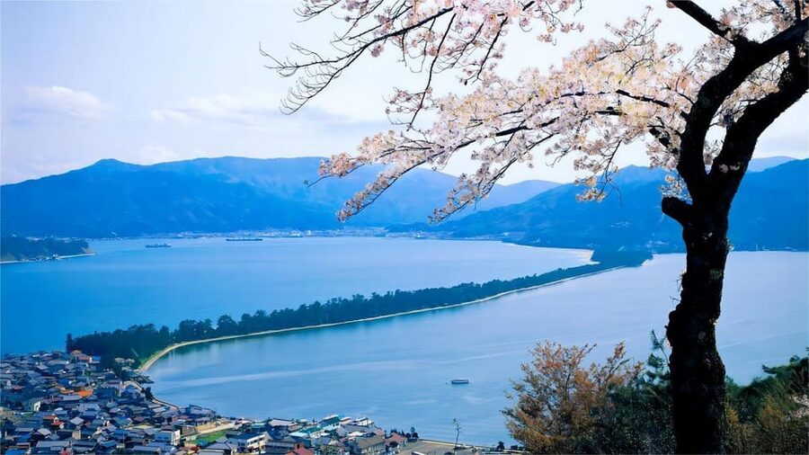 Kyoto: Amanohashidate Ine Funaya Tour - Key points before you book