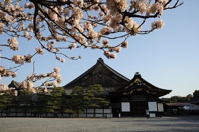 Kyoto and Nara Day Trip from Kyoto - Kyoto Imperial Palace adds ceremony and scale