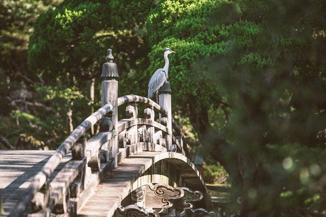 Kyoto and Nara Day Trip from Kyoto - The drive to Nara gives the day a second chapter