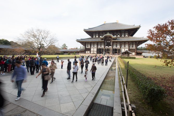 Kyoto and Nara Day Trip from Kyoto - Kasuga Shrine brings lanterns and woodland atmosphere