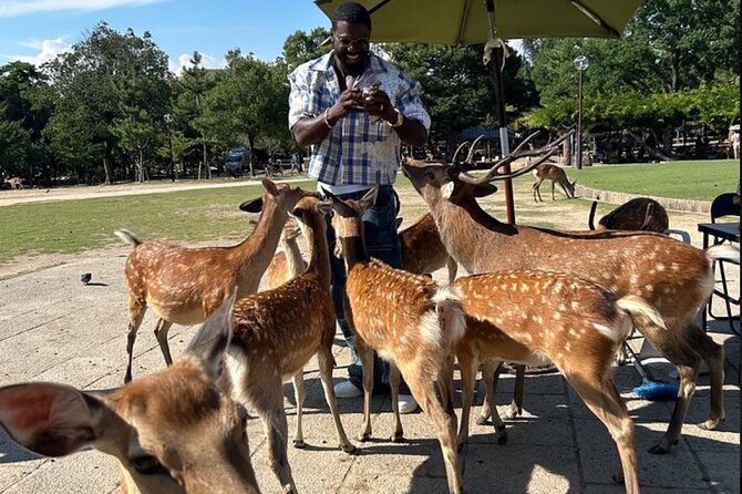 Kyoto and Nara Private Car Tour with a Local English Guide Driver - Key things to know before booking