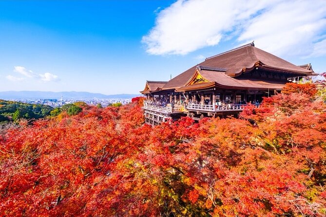Kyoto and Nara Private Car Tour with a Local English Guide Driver - Start at Fushimi Inari, where the red gates lead uphill
