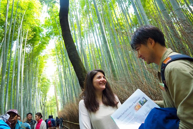 Kyoto Arashiyama Bamboo forest & Garden Half-Day Walking Tour - Why this Arashiyama walk is more than a bamboo photo stop
