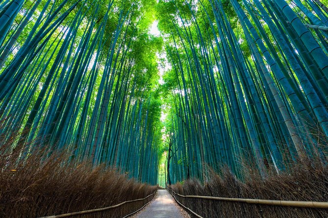 Kyoto Arashiyama Bamboo forest & Garden Half-Day Walking Tour - Hokyoin Temple and the quieter side of Saga