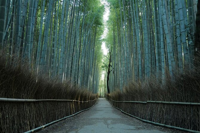 Kyoto Arashiyama Bamboo Forest Hiking Tour（Hidden Temples） - Why this Arashiyama walk is worth considering