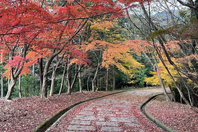 Kyoto Arashiyama Bamboo Forest Hiking Tour（Hidden Temples） - Starting at Saga-Arashiyama Station
