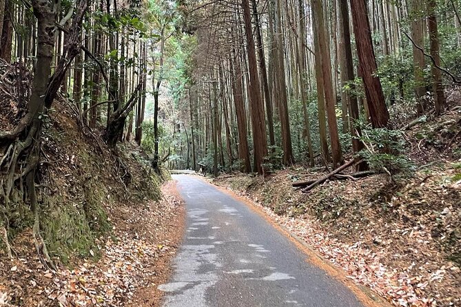 Kyoto Arashiyama Bamboo Forest Hiking Tour（Hidden Temples） - The guides and the feel of the morning