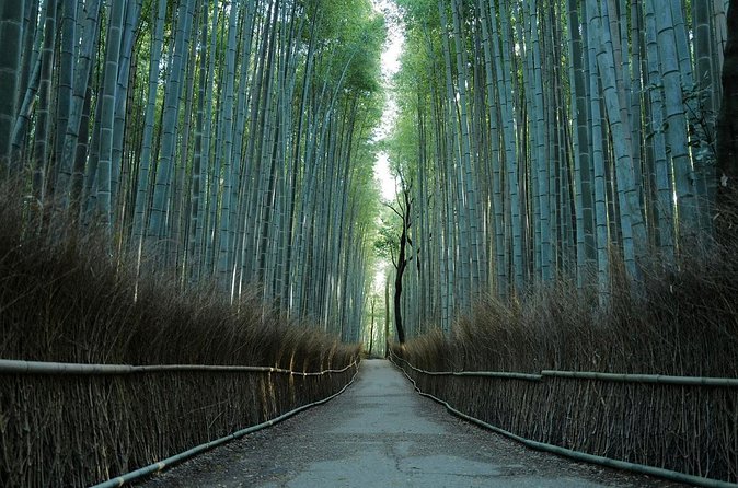 Kyoto Arashiyama Bamboo Forest Hiking Tour（Hidden Temples） - Who should book this hike