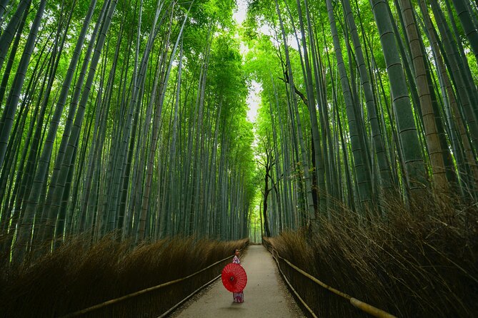 Kyoto: Arashiyama Bamboo, Temple, Matcha, Monkeys & secret spots - Tenryu-ji, koi ponds, and the dragon garden