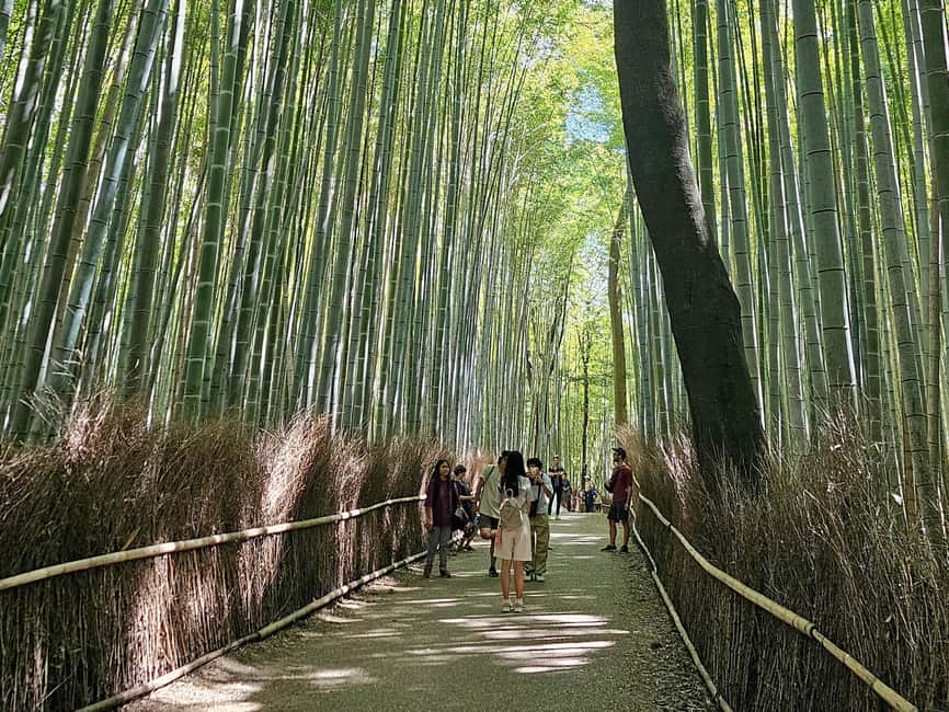 Kyoto: Arashiyama Bamboo, Togetsukyo bridge, Sanso, and more - Who should book this walk